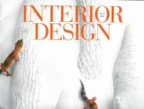 Interior Design Market, May 2004, Gene Meyer Rug Featured